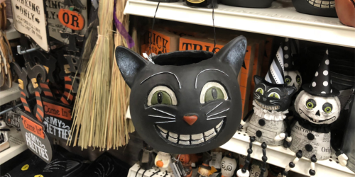 Over 60% Off Halloween Decor at Michaels