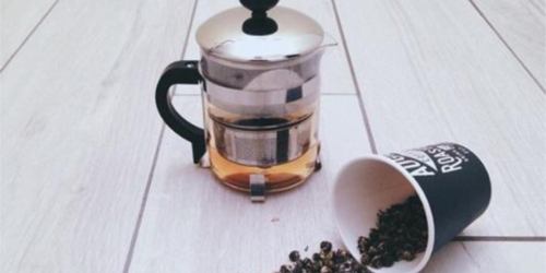 Macy’s: Primula Classic 18oz Tea Brewer Just $9 (Regularly $25)