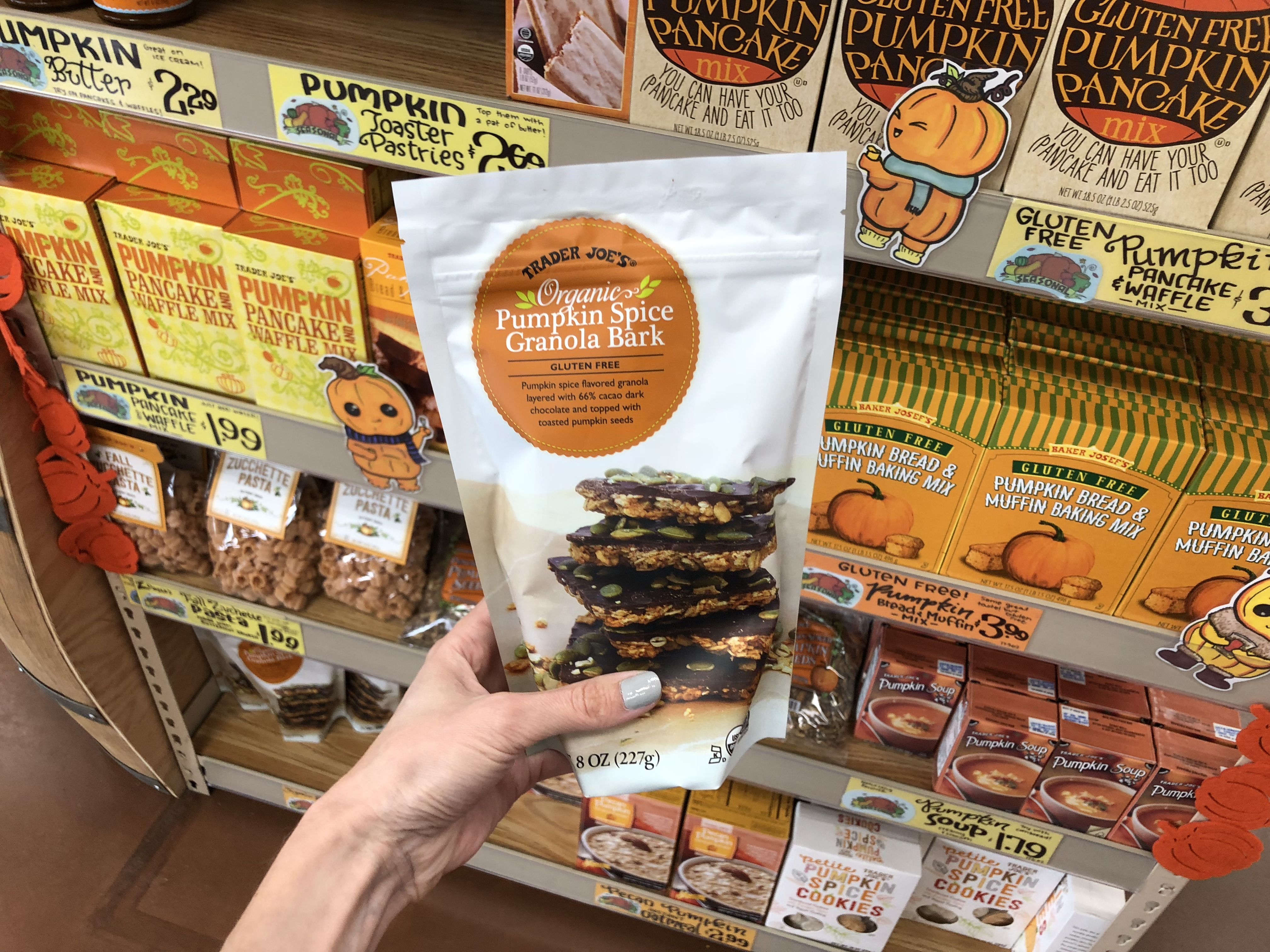 Deals on Trader Joe's Pumpkin items – Pumpkin Bark at Trader Joe's