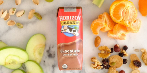 Horizon Organic Low Fat Chocolate Milk 12-Pack Only $8.98 Shipped on Amazon (Just 75¢ Each)