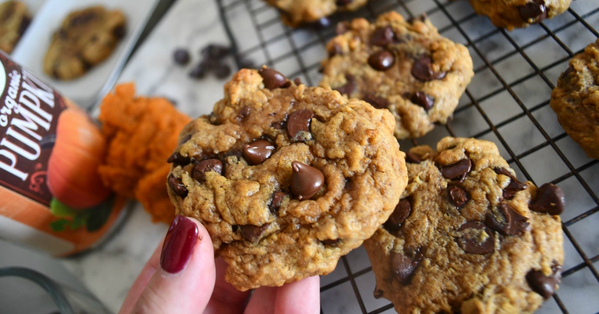 Pumpkin Chocolate Chip Cookies 