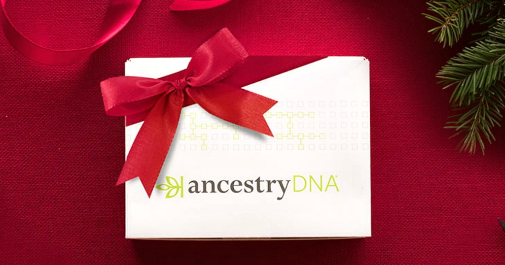 Ancestry DNA kit