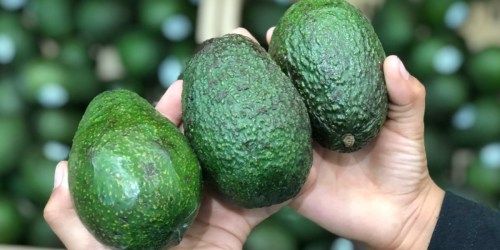 New $0.75/3 Avocados From Mexico Coupon = Only 35¢ Each at Walmart