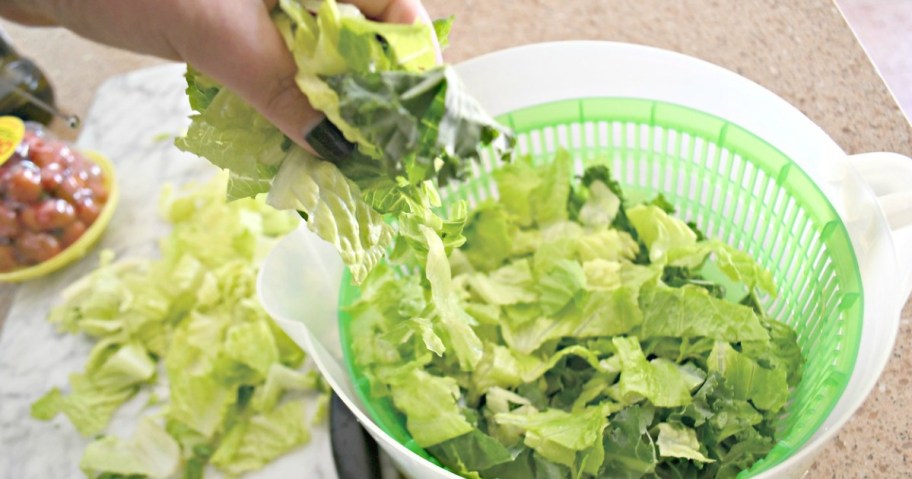 hand grabbing handful of romaine