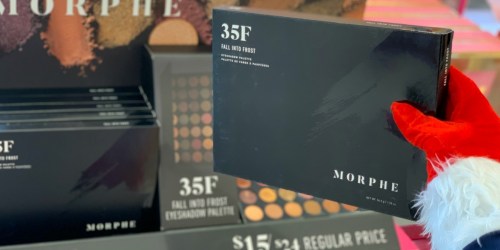 Morphe Fall into Frost Eyeshadow Palette Only $11.50 at Ulta Beauty (Regularly $24)