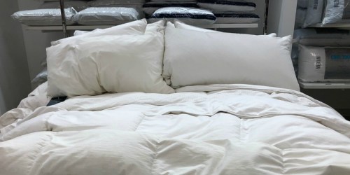 Macy’s: Royal Luxe 240-Thread Count Down onlineforter as Low as $32.99 Shipped (Regularly $120)