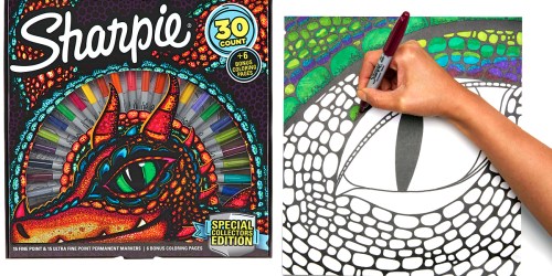 Sharpie 30-Count Permanent Markers & Coloring Pages Set Just $10 from Walmart (Regularly $20)