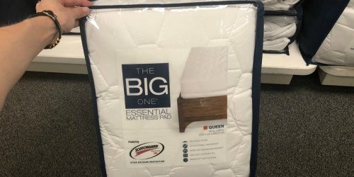 The Big One Queen Size Mattress Pad & Pillow as Low as $11.19 Shipped at Kohl’s + More