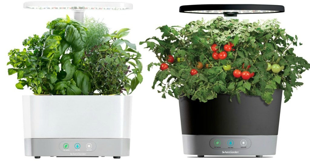 two aerogarden devices growing herbs and tomatoes