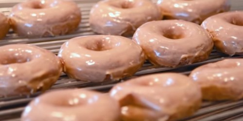 Krispy Kreme Gingerbread Glazed Doughnuts are HERE (+ How to Score a FREE One!)