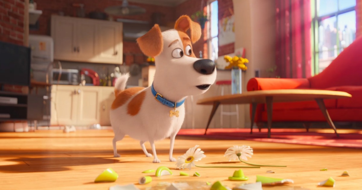 The Secret Life of Pets still shot