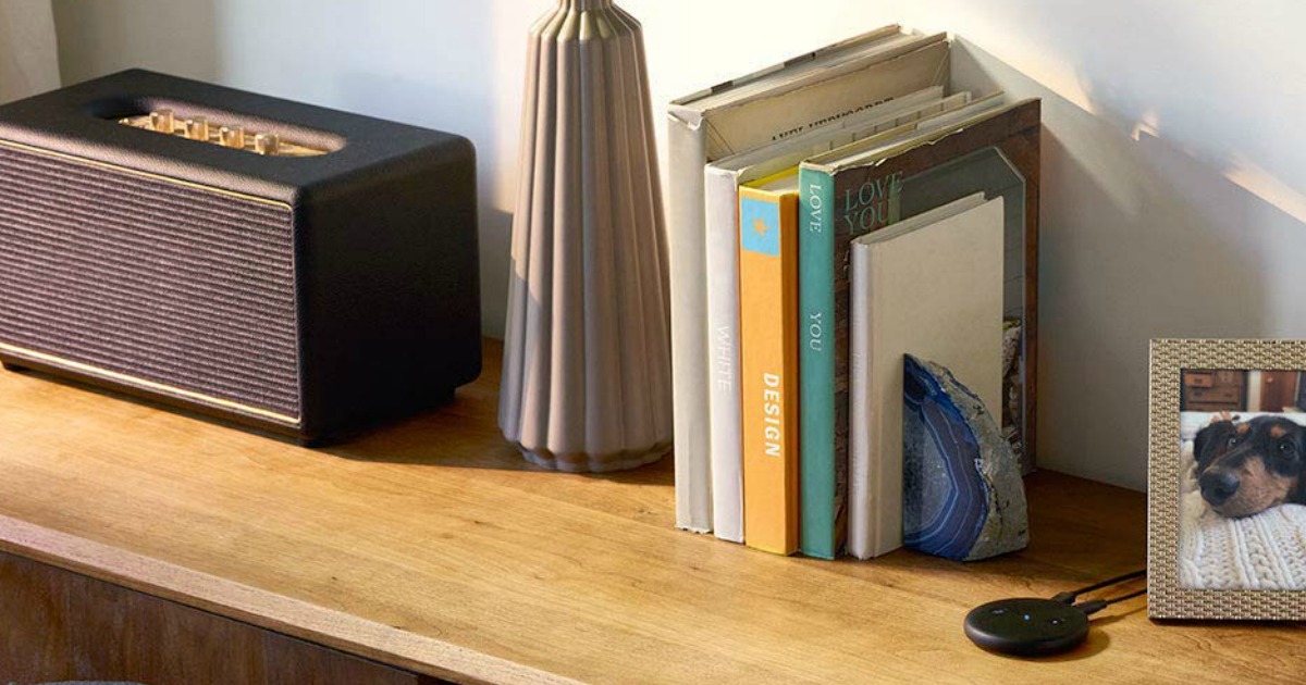 Amazon Echo Input on shelf