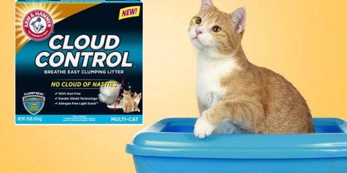 FREE Arm & Hammer Cat Litter Products After Mail-in Rebates (Over $40 Value)