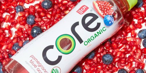 Core Organic Pomegranate Blue Acai Flavored Water 12-Pack Only $8 Shipped on Amazon