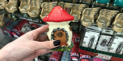 New Fairy Garden & Gardening Items at Dollar Tree