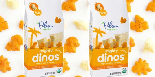 Amazon Family: Plum Organics Mighty Dinos Baked Crackers 8-Bags Only $17.56 Shipped ($2.20 Per Bag)