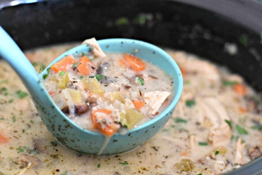 ladle full of wild rice chicken soup