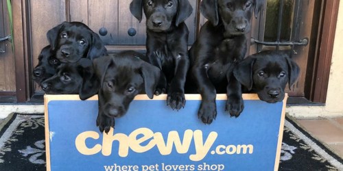 Buy One, Get One FREE True Acre Dog Treats AND American Journey Dog Food at Chewy.online