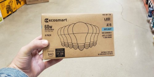 EcoSmart LED Light Bulb 8-Pack Only $9.94 Shipped (Just $1.24 Per Bulb)