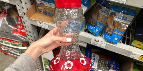 Garden Treasures Glass Hummingbird Feeder Only $4.24 at Lowe’s (Regularly $17)