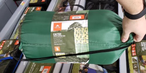 Ozark Trail Youth Sleeping Bags Just $7.50 on Walmart.online | Cactus, Llama & Critters Designs