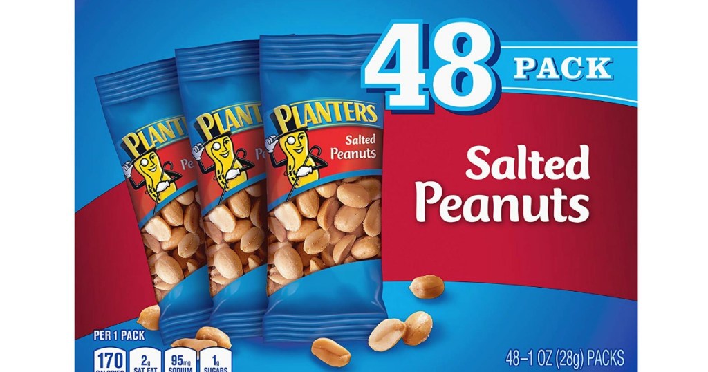 Planters Salted Peanuts - 48 Pack