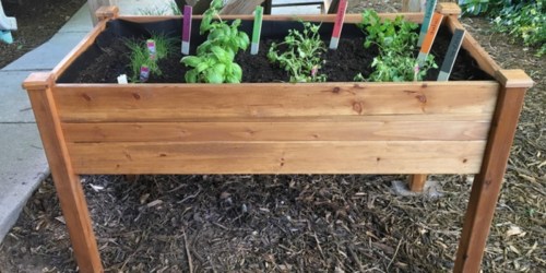 Raised Cedar Garden Bed Just $69.99 Shipped (Regularly $182)