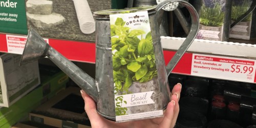 Organic Growing Kits Only $5.99 at ALDI + More Spring Gardening Finds