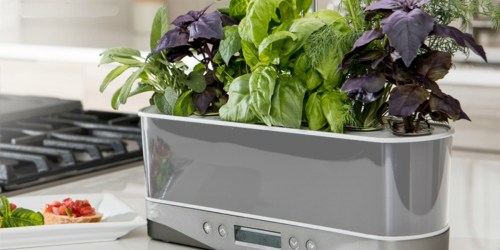 AeroGarden Harvest Elite w/ Seeds Bundle Only $88 Shipped (Regularly $177) + More