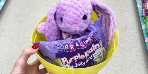 Brach’s Purple Rain Jelly Beans (Great Easter Basket Stuffer)