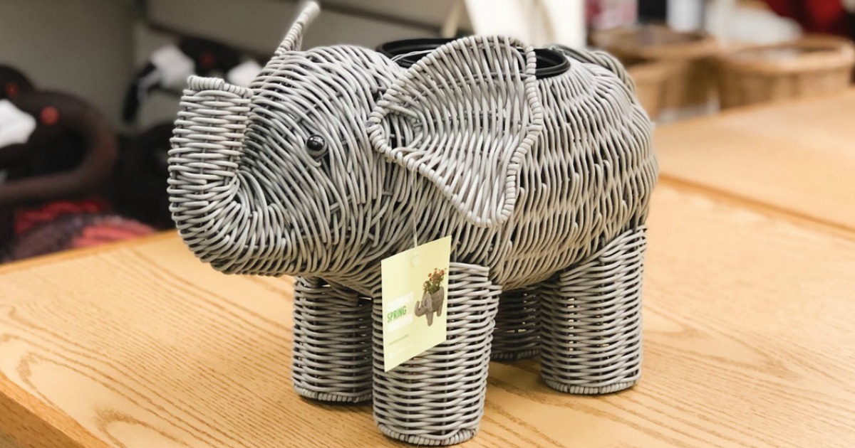 elephant planter sitting on shelf