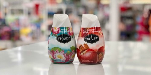 6 Renuzit Air Fresheners Only $2.56 After Cash Back at Walgreens | Just 43¢ Each