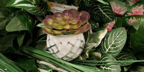 Colorful Faux Succulents Only $1 at Dollar Tree