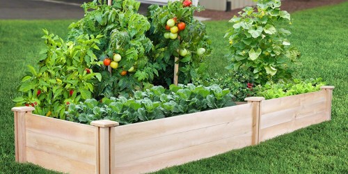 Greenes Fence 16″ x 8′ Raised Garden Bed Only $79.94 Delivered (Regularly $133)