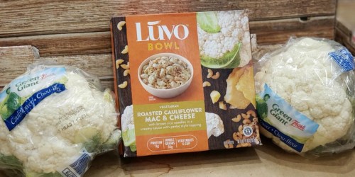 Lúvo Entree Bowl Only $1.50 After Cash Back at Target