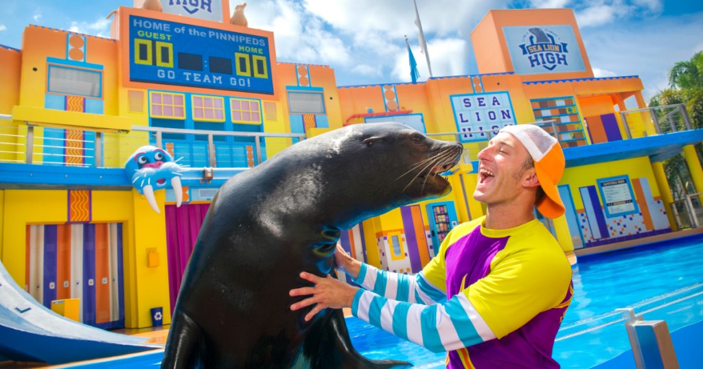 SeaWorld Sea Lions