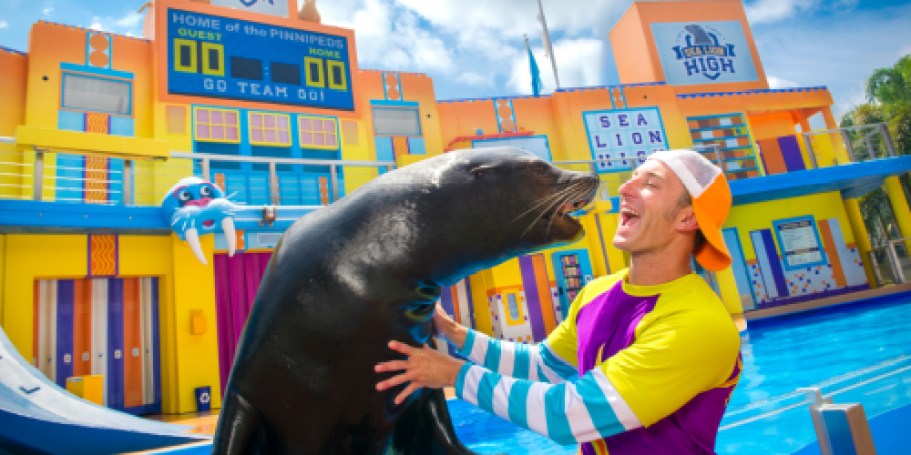 Up to 60% Off SeaWorld Tickets (+ FREE Dining Options!)