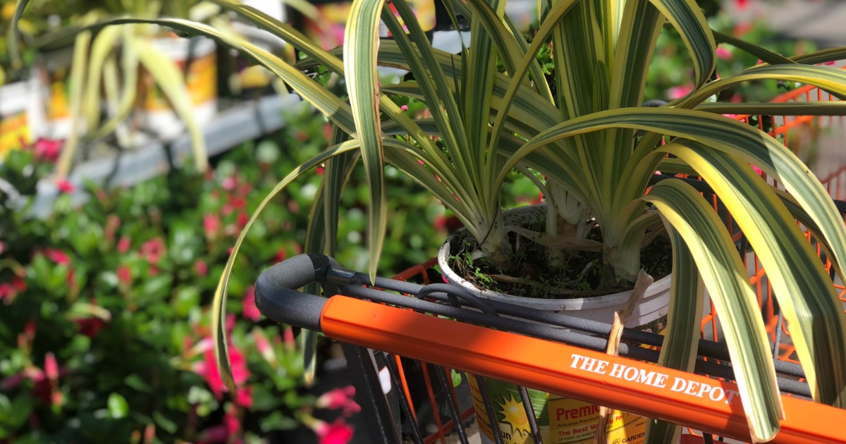 5 Simple Tips for Saving on Your Spring & Summer Projects at The Home Depot