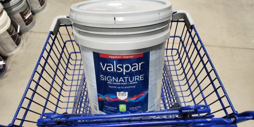 Up to $40 Rebate w/ Select Paint, Primer & Stain Purchase at Lowe’s