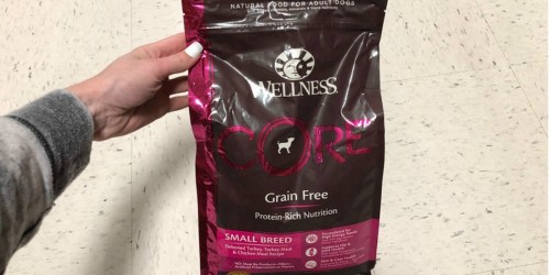 Over 30% Off Wellness Core Grain Free Dry Dog Food at Amazon