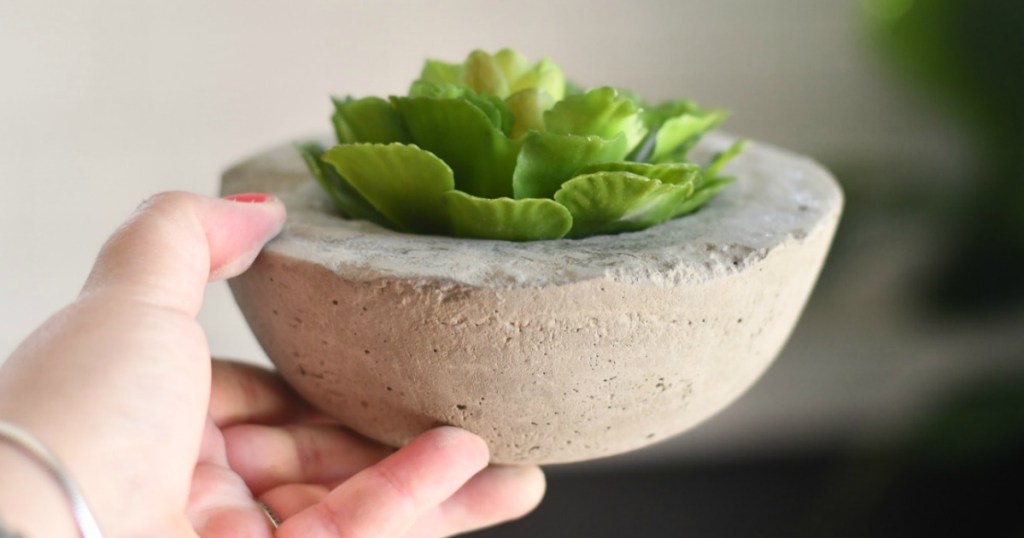 holding DIY concrete planter with succulent 