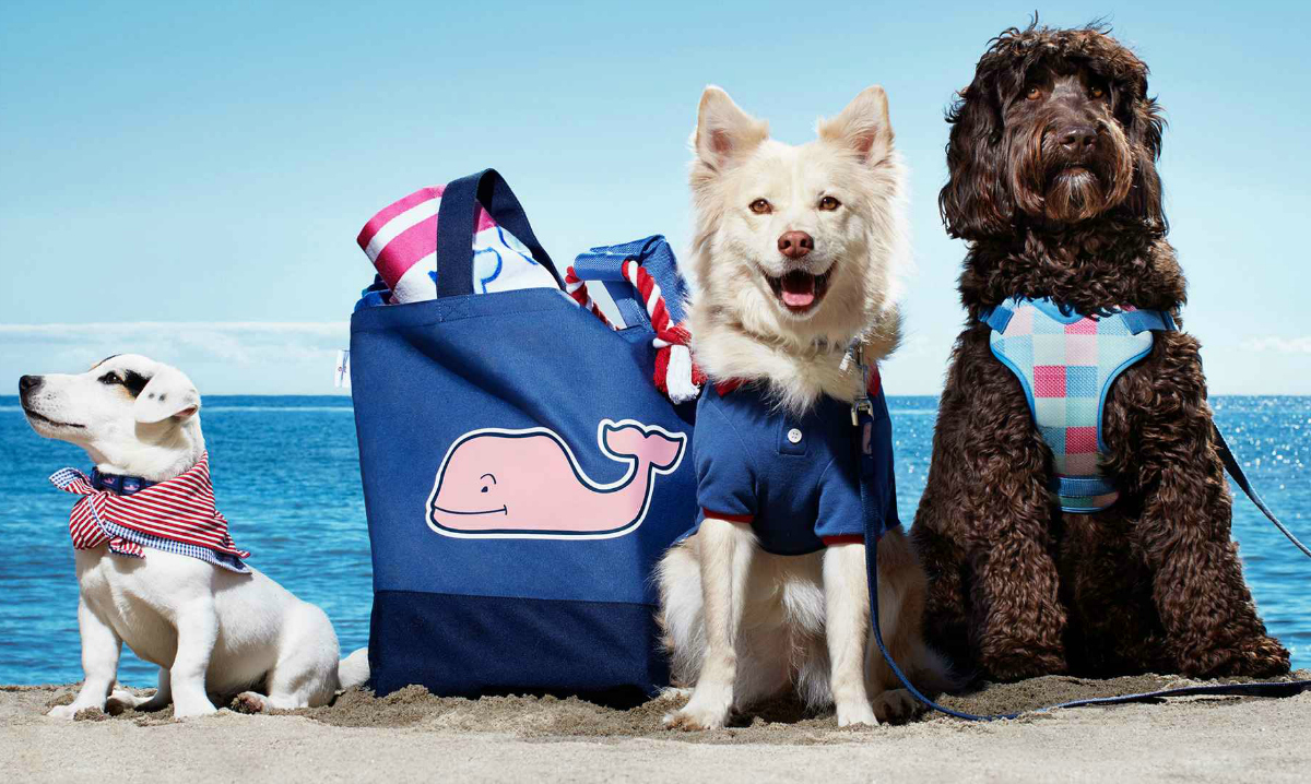 vineyard vines pet items