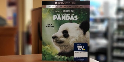 Pandas IMAX Film 4K Ultra HD onlinebo Just $19.99 at Best Buy (Regularly $30)