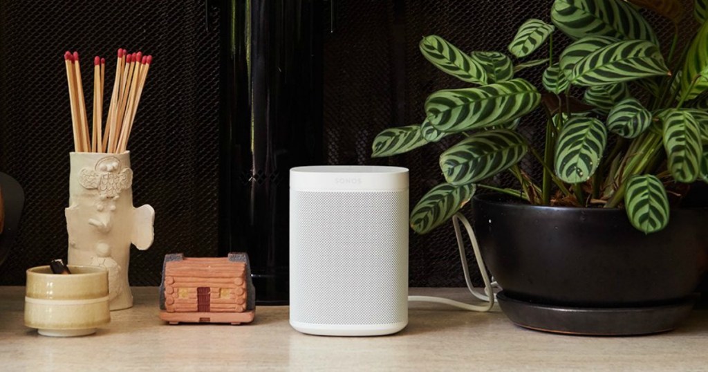 Sonos speaker by plant