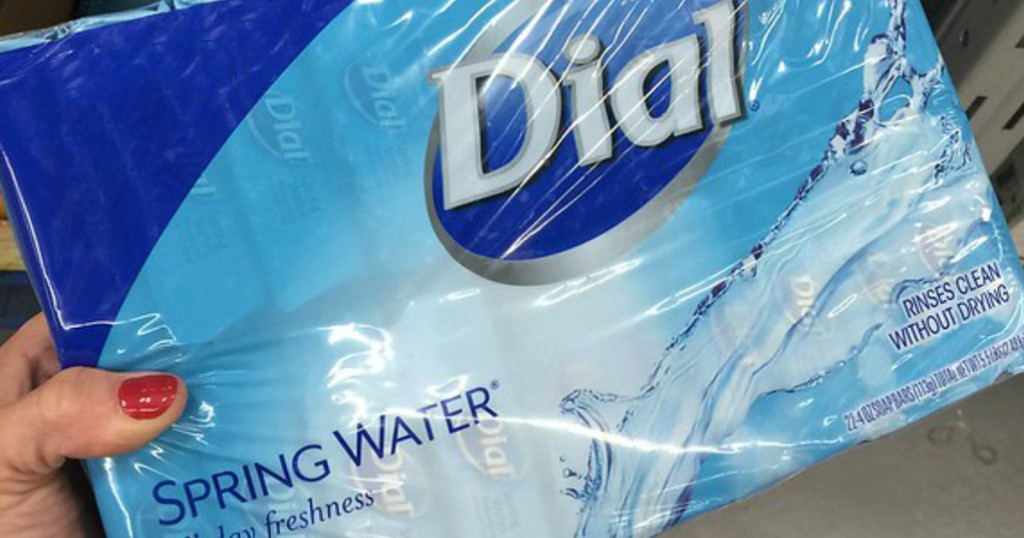 dial spring water case