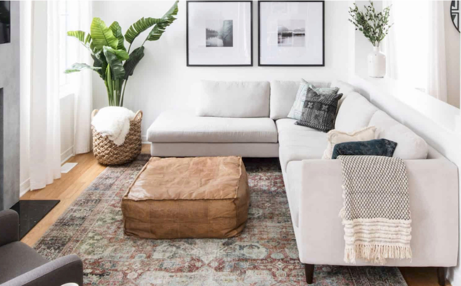 small living room with sectional leather ottoman and large leafy plant