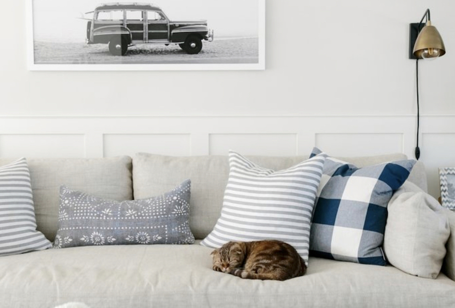 close up of cat sleeping on beige couch with gold light on wall