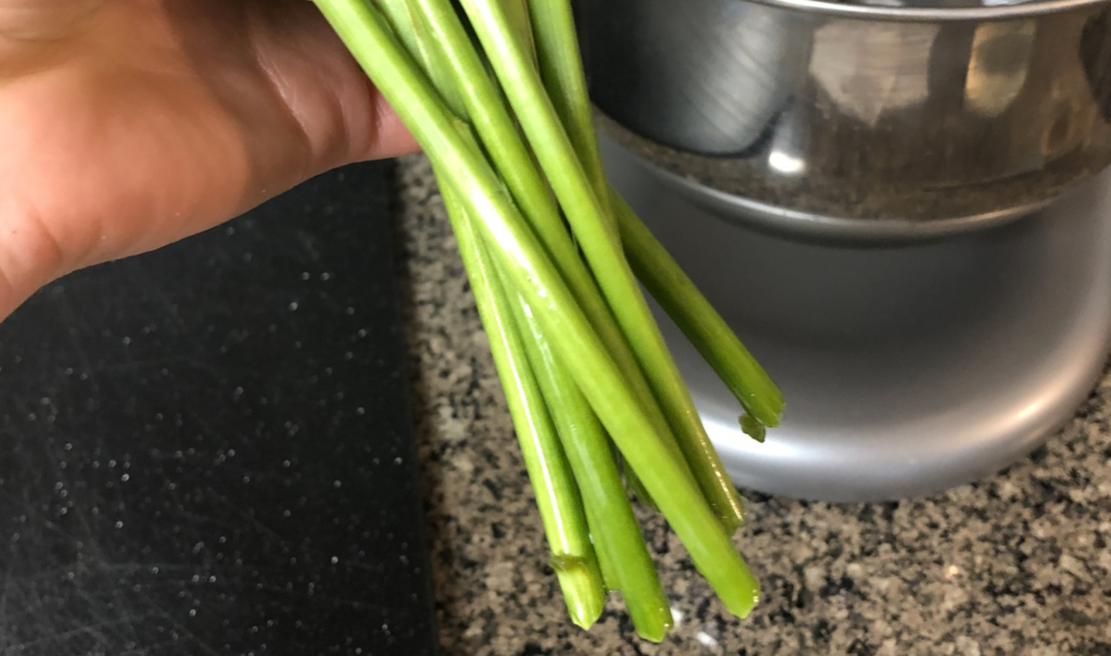 holding fresh cut flower stems 