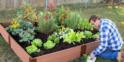 Raised Garden Bed Only $149.98 at Sam’s Club (Regularly $262)