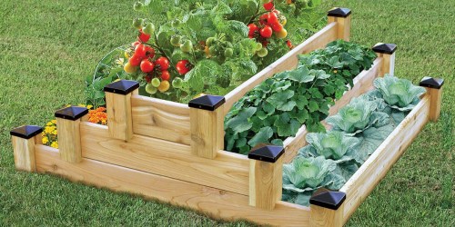 Tiered Cedar Garden Bed Only $79.98 at Sam’s Club (Regularly $159)